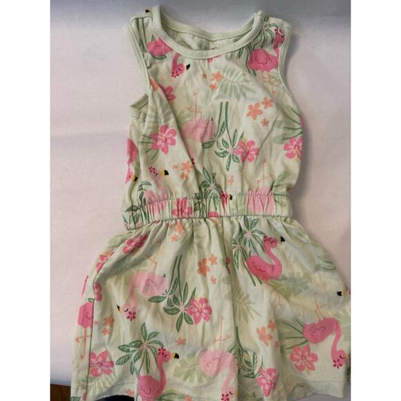 18M Girls Dress Lot 4 - Bonnie Baby, Carter's, Garanimals - Picture 5 of 10